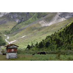 whatsapp_image_2025-06-14_at_16_31_22_5b8a5b1b